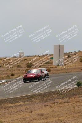 media/May-03-2025-Lucky Dog Racing (Sat) [[206de64b9d]]/Turn 6 (150pm-230pm)/